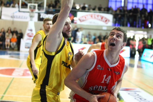 Paulius Petrilevičius surinko net 46 naudingumo balus